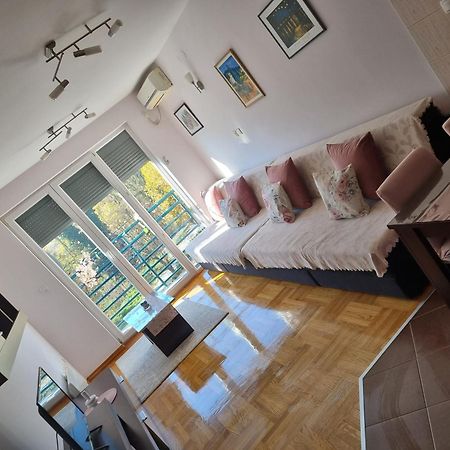 Studio Apartman Zvezdana Noc Vrnjacka Banja Luaran gambar